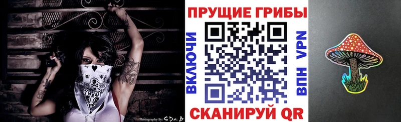 Галлюциногенные грибы Cubensis  Партизанск 
